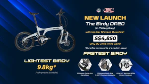 Foldable Frame, Full-Sized Ride